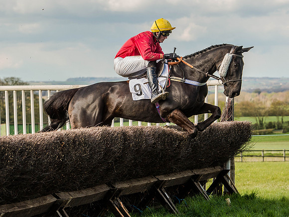 Race 5 - The Southern Grand national (24 of 96).jpg