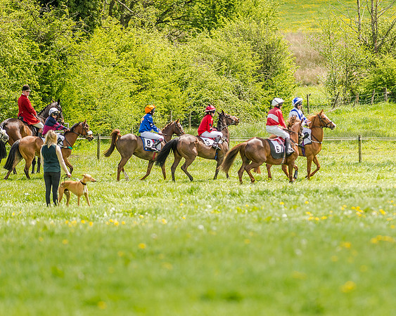 Pony Race 2 (38 of 57).jpg