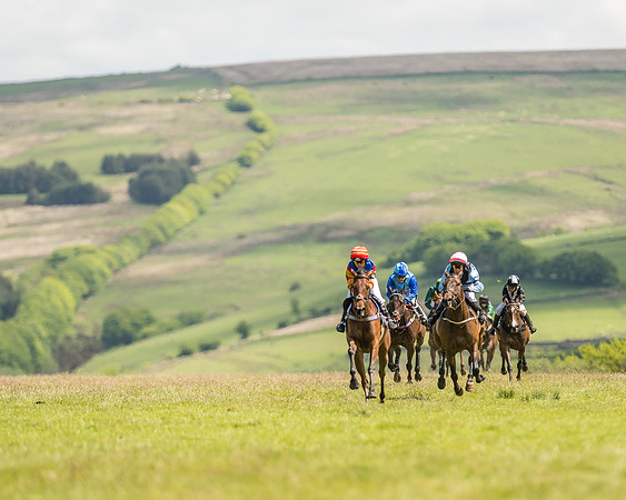 Pony Race 2  (15 of 33).jpg