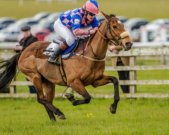 Pony Race 3 (44 of 78).jpg