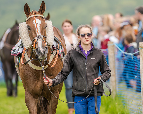 Race 2 - PPORA Members Novice Riders  (14 of 112).jpg