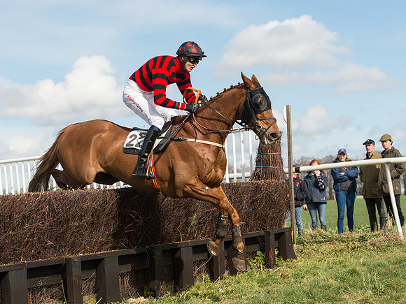 Race 2 - Confined Hunts Race (65 of 87).jpg
