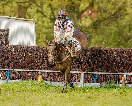 Race 5 - Open Maiden (124 of 147).jpg