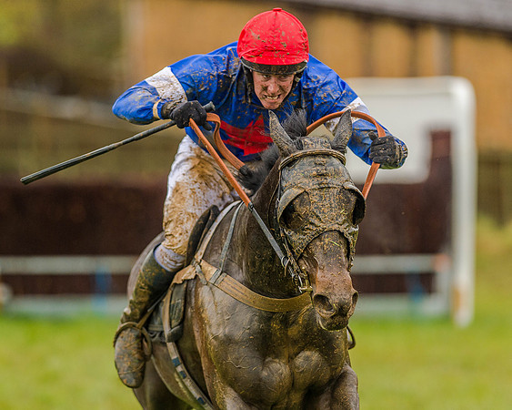 Race 5 - Restricted Race (107 of 146).jpg