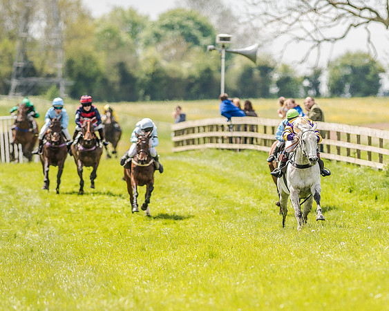 Pony Race 3 (28 of 56).jpg