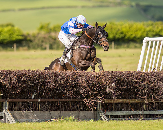 Race 6 - Open Maiden Race (57 of 71).jpg