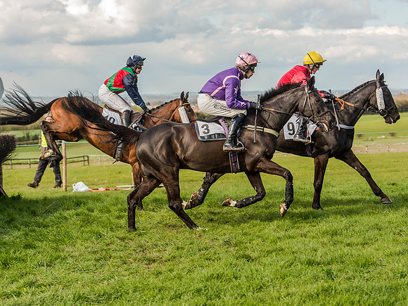 Race 5 - The Southern Grand national (31 of 96).jpg