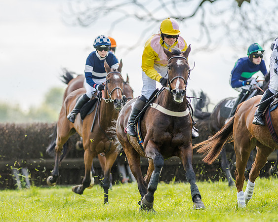 Race 4 - PPORA Novice Riders (94 of 196).jpg