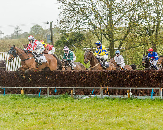 Race 5 - Restricted Race (51 of 146).jpg