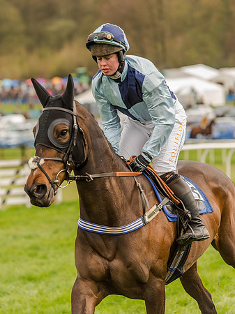 Race 1 - Confined Hunts (37 of 118).jpg