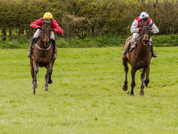 Race 1 - Confined Hunts (84 of 118).jpg