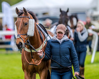 Race 4 - PPORA Novice Riders (9 of 151).jpg
