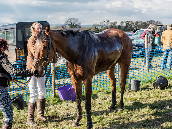 Race 6 - The Open Maiden (110 of 122).jpg