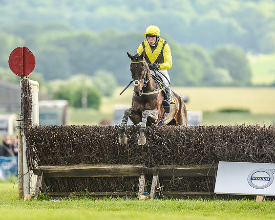 Race 7 - Div 2 - Open Maiden (117 of 163).jpg
