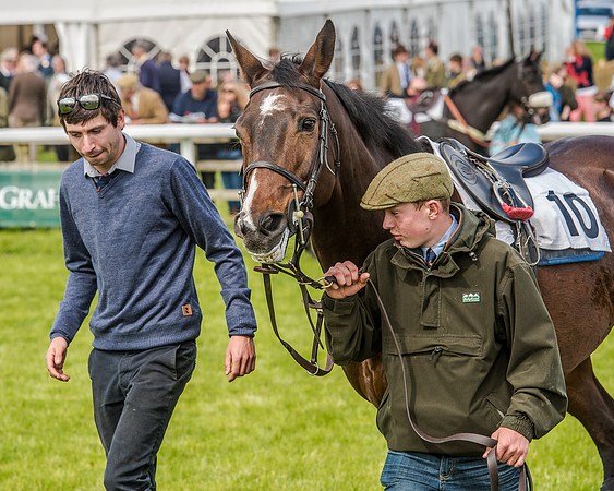 Race 4 - PPORA Novice Riders (6 of 196).jpg