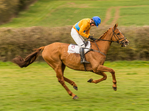 Race 6 - Open Maiden Division 1  (49 of 133).jpg