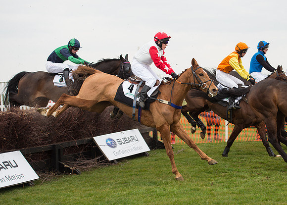 Race 6 - Confined Hunts-69