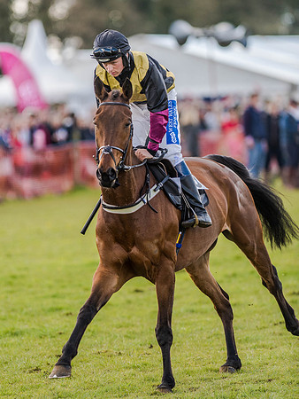 Race 3 - PPORA Club Members Novice Riders (26 of 75).jpg