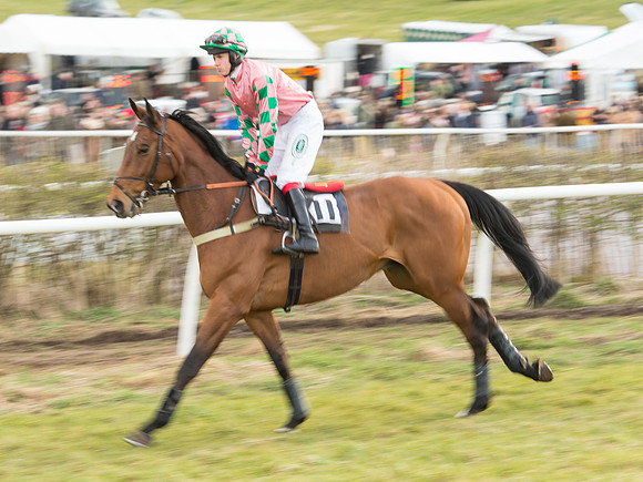 Race 6 - Open Maiden (22 of 110).jpg