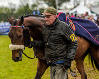 Race 5 - Open Maiden (4 of 147).jpg