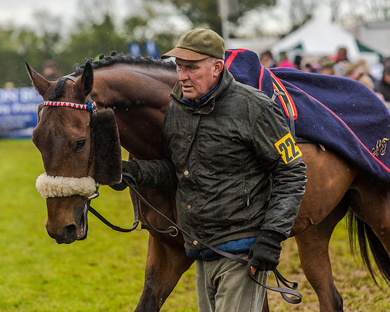 Race 5 - Open Maiden (4 of 147).jpg