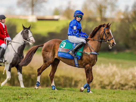 Pony Races (19 of 127).jpg