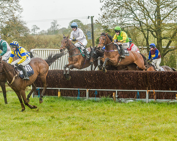 Race 5 - Restricted Race (58 of 146).jpg