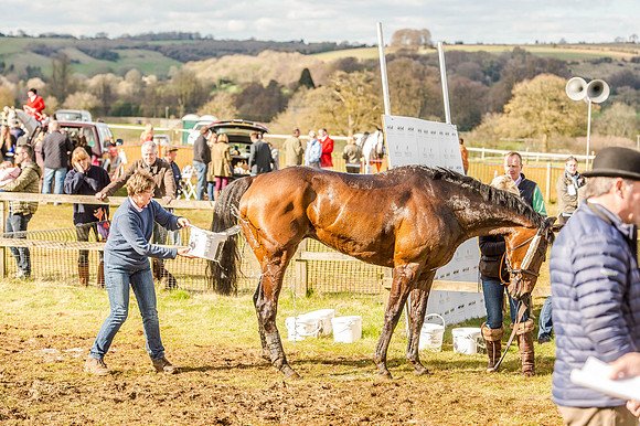 Race 6 - The Restricted Race [Nov-Vet] (81 of 84).jpg