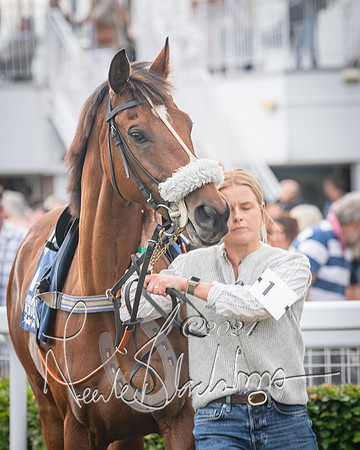 Race 1 - Pointing Pointers Restricted Final (3 of 79)