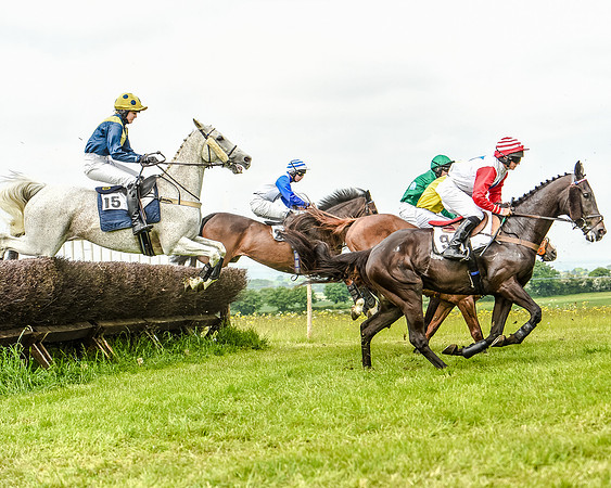 Race 2 - PPORA Members Novice Riders  (55 of 112).jpg