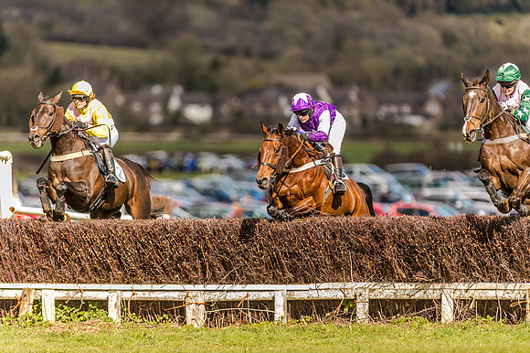 Race 4 - Ladies Open [Nov-Vet] (24 of 82).jpg