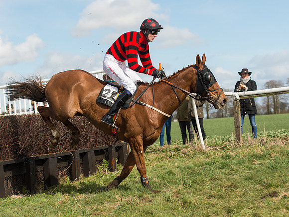 Race 2 - Confined Hunts Race (68 of 87).jpg