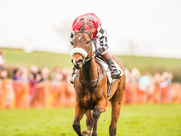 Pytchley Pony Races (109 of 167).jpg