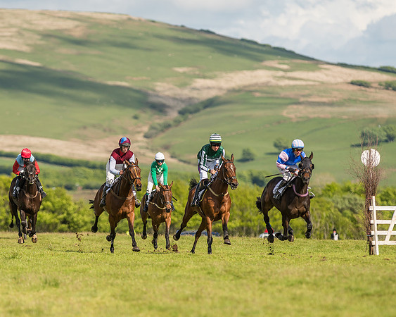 Race 6 - Open Maiden Race (34 of 71).jpg