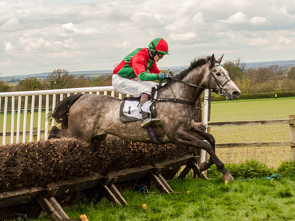 Race 3 - Young Horse maiden 2m5f (90 of 124).jpg