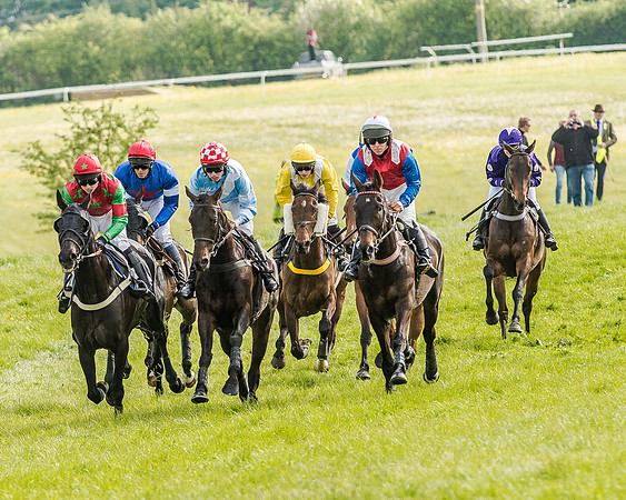 Race 5 - Division 2 - Restricted Race (40 of 105).jpg