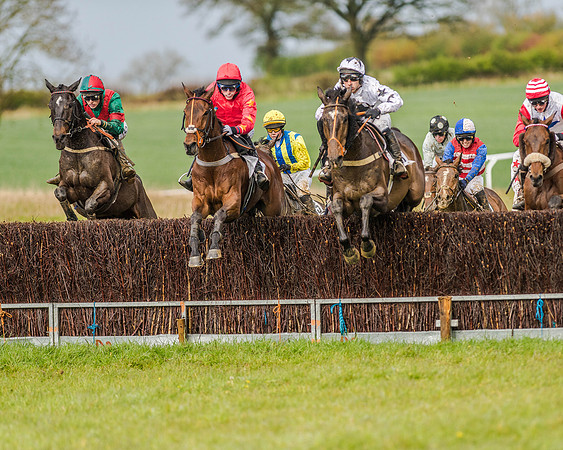 Race 5 - Open Maiden (92 of 147).jpg