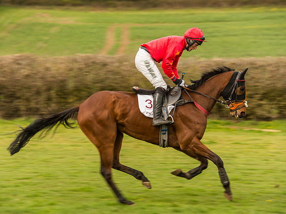 Race 6 - Open Maiden Division 1  (36 of 133).jpg