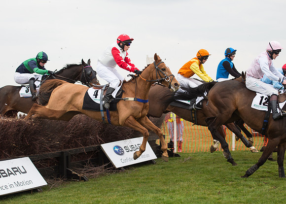 Race 6 - Confined Hunts-68