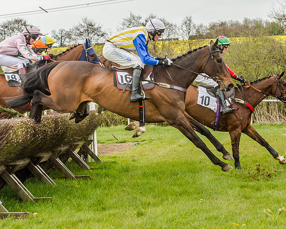 Race 2 - Open Maiden  (82 of 170).jpg