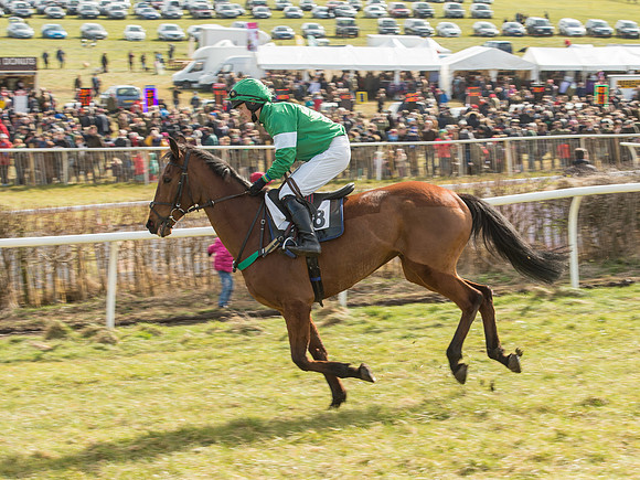 Race 2 - Confined Hunts Race (18 of 87).jpg
