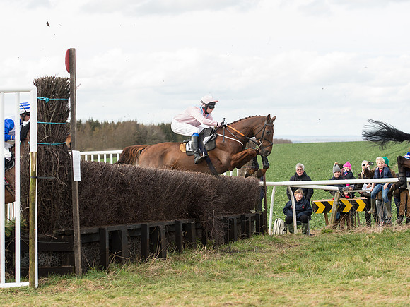 Race 5 - Restricted Race (65 of 120).jpg