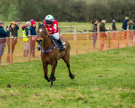 Pony Race 2 (56 of 162)