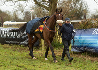 Race 1 - Confined Hunts (3 of 101).jpg