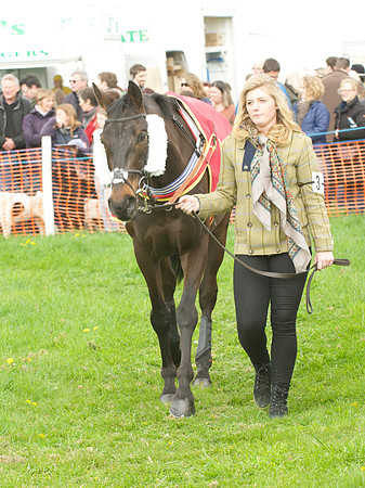 Kimblewick at Kimble Restricted Race