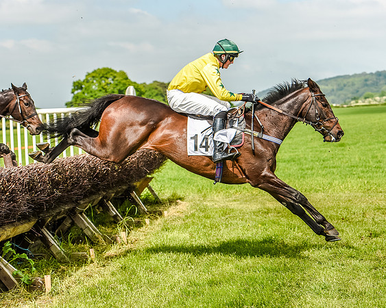 Race 3 - The Intermediate Race (49 of 97).jpg