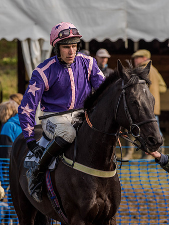 Race 5 - The Southern Grand national (22 of 96).jpg