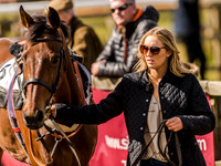 Race 4 - Ladies Open [Nov-Vet] (10 of 82).jpg