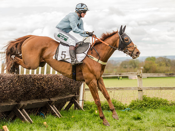 Race 3 - Young Horse maiden 2m5f (103 of 124).jpg