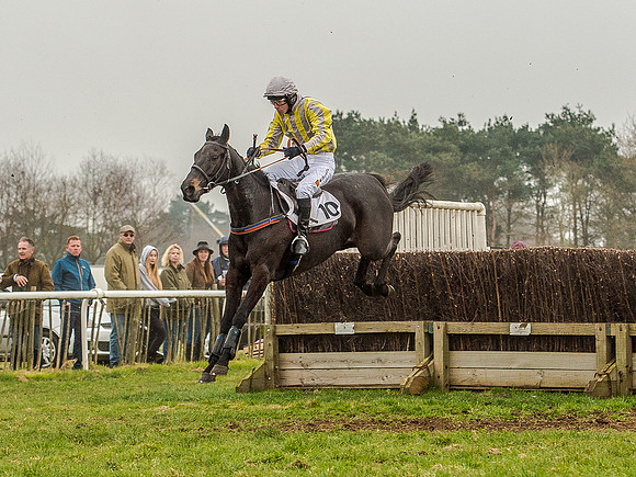 Race 5 - Open Maiden Division 2 (70 of 112).jpg